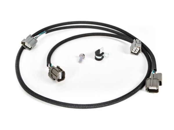 eap-536-1.jpg