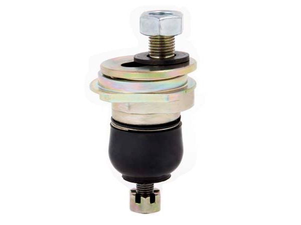 spp-501.jpg